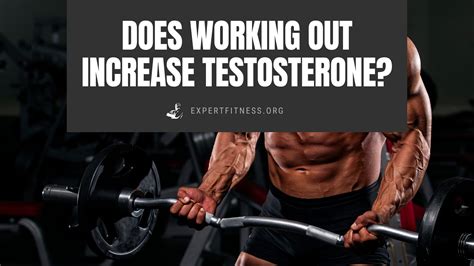 Does Working Out Increase Testosterone
