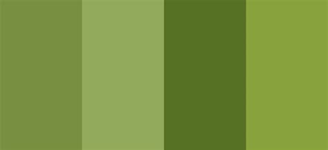 A large selection of these various colors is shown below. Canzutopia: Olive Green Newlywed's Room