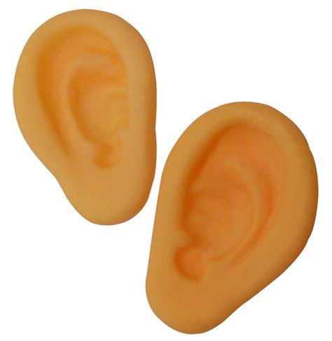 A Pair Of Human Ears Clipart Collection Cliparts World 2019