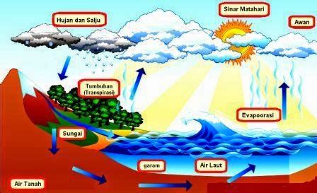 Transpirasi adalah kehilangan air dari suatu tanaman yang hidup. materi geografi: HIDROLOGI DAN SIKLUS HIDROLOGI