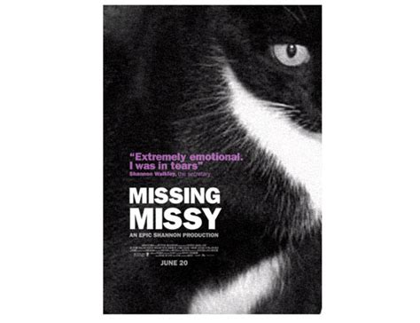 You can say this is not art, bur why not. Missing Missy - The Lost Cat | | pumuggel