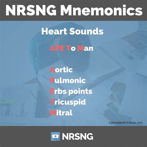 Heart Sounds Nursing Mnemonic Tıbbi