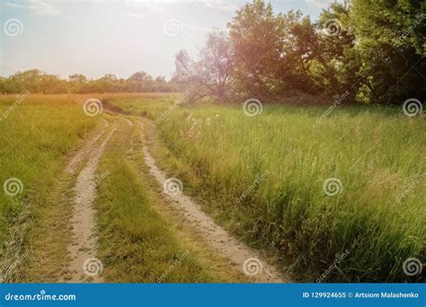 Country Road Among Meadows In The Summer Landscape Stock Image Image