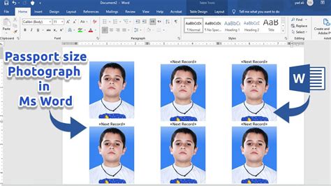 How To Make A Passport Size Photo In Microsoft Word Making