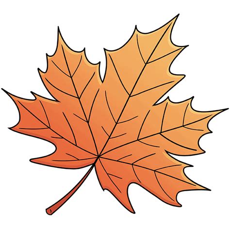 How To Draw A Maple Leaf Really Easy Drawing Tutorial