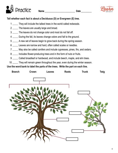 All About Trees Free Pdf Download Learn Bright