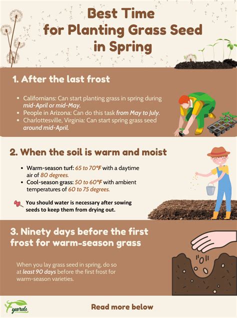 When To Plant Grass Seed In Spring And How To Plant