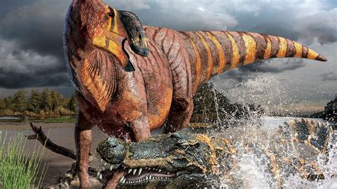 70 Million Years Later This Duck Billed Dinosaur Has A Diagnosis