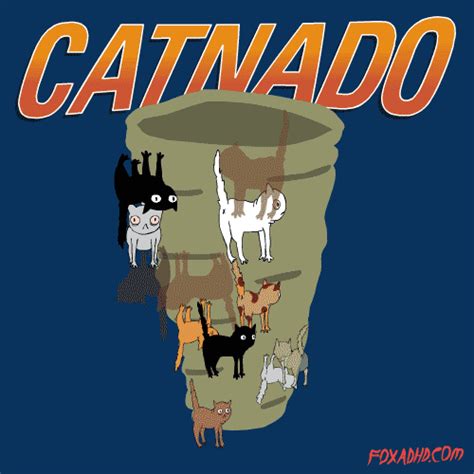 Cat Tornado  By Animation Domination High Def Find And Share On Giphy