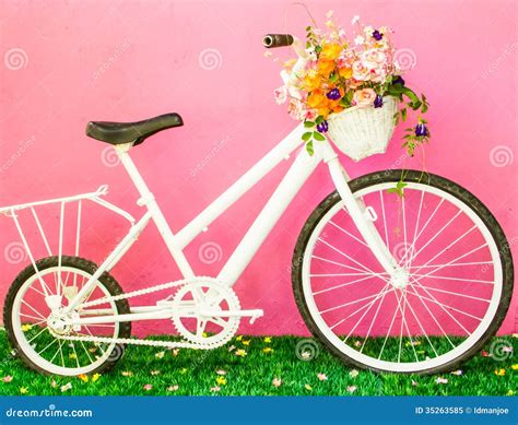 Cute Bicycle Stock Image Image Of Freedom Green Pretty 35263585