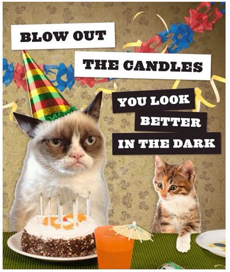 Pin By Laura Steig On Furry Children Grumpy Cat Birthday Birthday