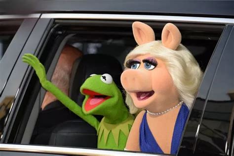 Kermit The Frog Breaks Silence Following Miss Piggy Split And Confirms