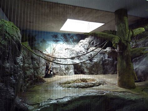 1930 Main Zoo Building Lemur Indoor Exhibit Zoochat