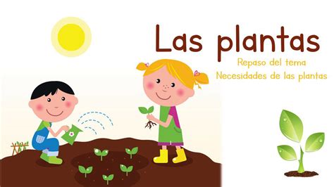 Las Plantas Para Niños De Infantil Actualizado Abril 2024