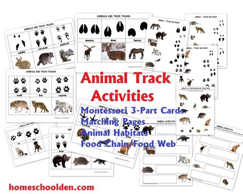 Music can also add fun to the regular games that kids play. Animals and Their Characteristics (Free Worksheet ...