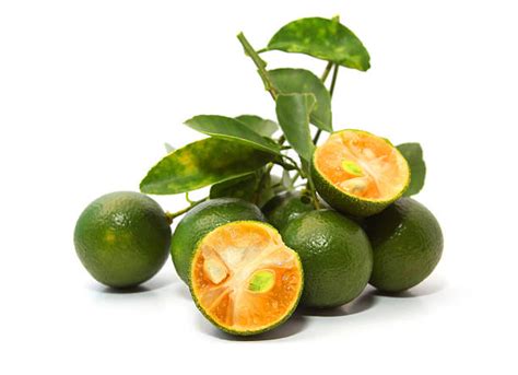 Calamansi Stock Photos Pictures And Royalty Free Images Istock