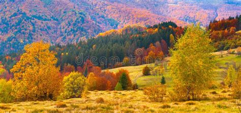 Colorful Autumn Landscape Stock Image Image Of Weather 20180327