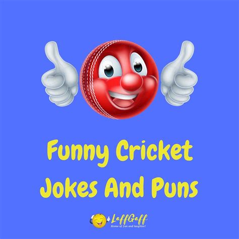 30 Hilarious Cricket Jokes And Puns Laffgaff