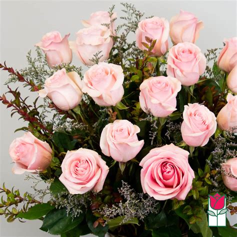 Beretanias 15 Dozen Extra Long Stem Pink Rose Bouquet Pink Hue May