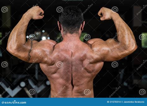 Muscular Bodybuilder Showing His Back Double Biceps Stock Photo Image