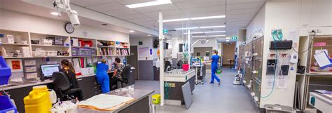 Carrara Vet Clinic | Veterinary Specialist Services