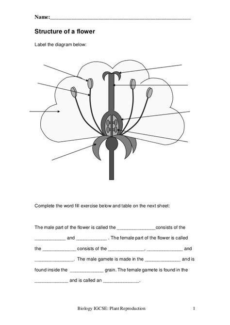 Label Parts Of A Flower Worksheets