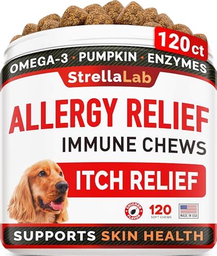 10 Best Dog Allergy Medicine Updated 2024
