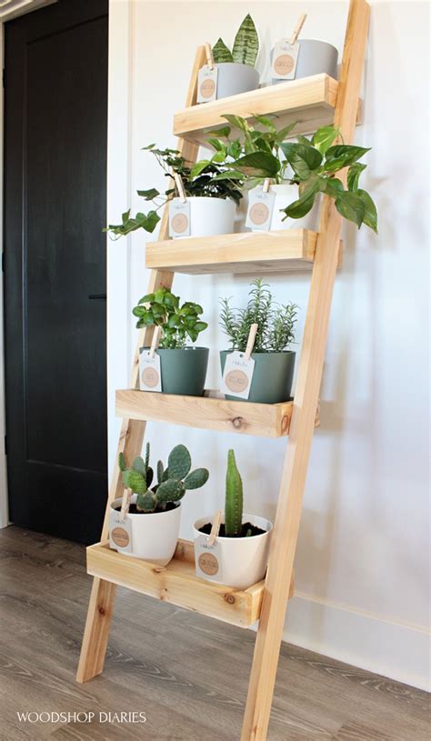 Diy Plant Ladder Shelf A Renter Friendly Indoor Garden Idea