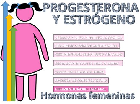 Cambios Hormonales En La Adolescencia Nueva Escuela Mexicana