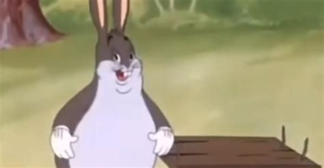 Will Big Chungus Be In Multiversus Heres What We Know About His Arrival