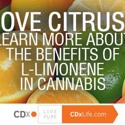 Love Citrus Mydx