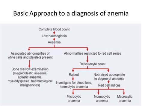 Antibiotic That Causes Aplastic Anemia