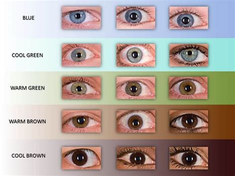 Image Result For Eye Color Chart Eye Color Chart Eye Color Ash Hair