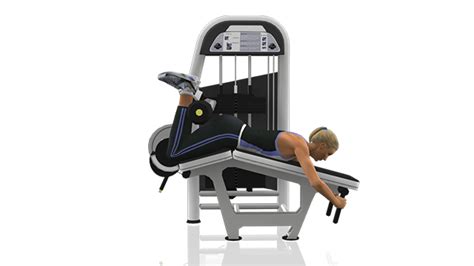 Ptlinked A Lower Body Machine Workout For The Gym