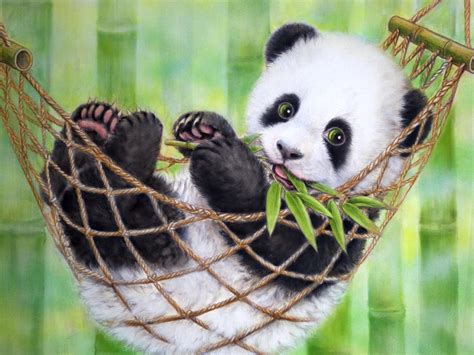 Wallpaper Hp Gambar Panda