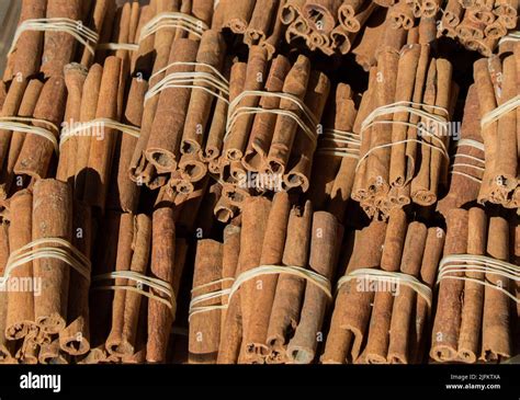 Bundles Of Cinnamon Sticks In Stock Stock Photo Alamy