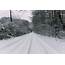 Free Photo Snowy Road  Ice Landscape Path Download Jooinn