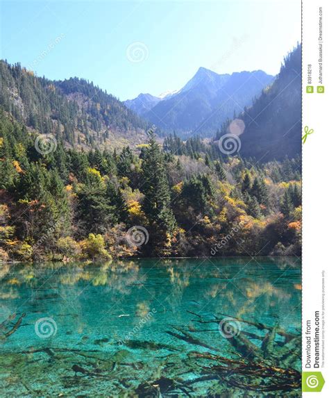 Jiuzhaigou Stock Photo Image Of Colors Natural Biosphere 83918218