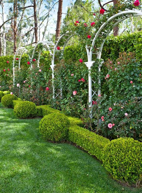 12 Gorgeous Arch Trellis Ideas To Add Structure And Height To Your