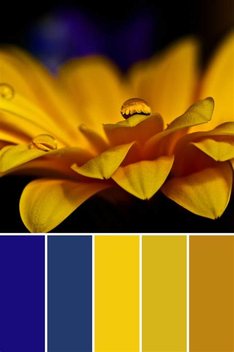 Color Palette Combinations Design Color Palette Yellow Color Schemes