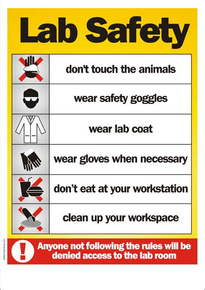 If you would like for any different fresh concept activities then this image needs to be on top of guide or you might use it for an alternative idea. Safety Poster - Lab Safety | Safety Poster Shop