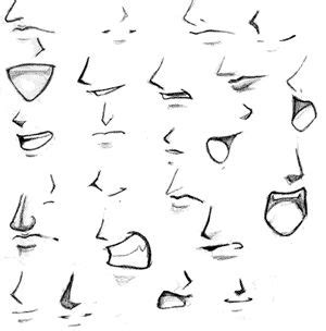 How to draw a stylized cartoon nose. Anime Style Mouths and Noses | Anime mouth drawing, Anime nose, Mouth drawing