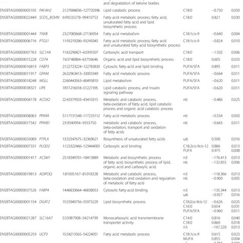 Metabolic Pathways Of Acsm3 Gene 6212 70 Download Scientific