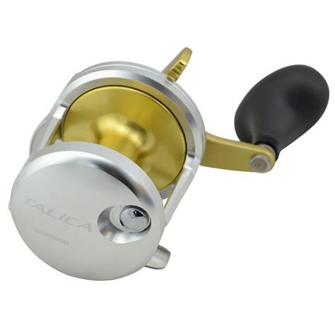 Here S The Best Reels For Bottom Fishing 2024 Report
