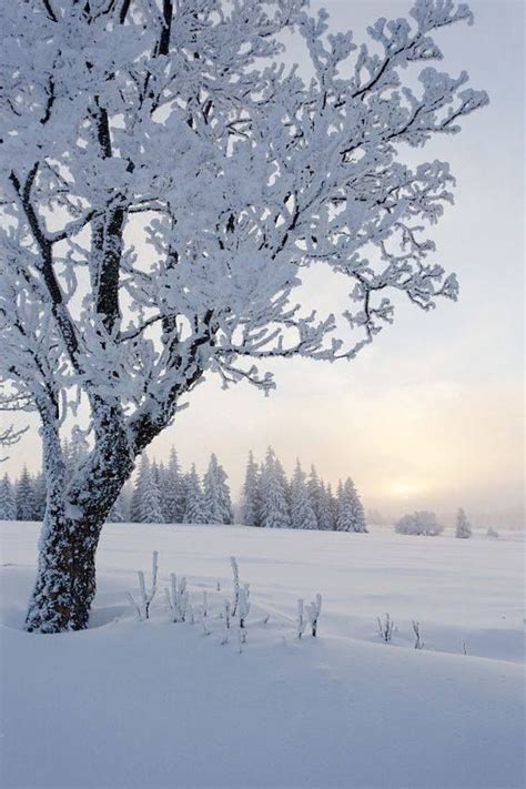 So Peaceful Winterbilder Naturbilder Winterlandschaft Bilder
