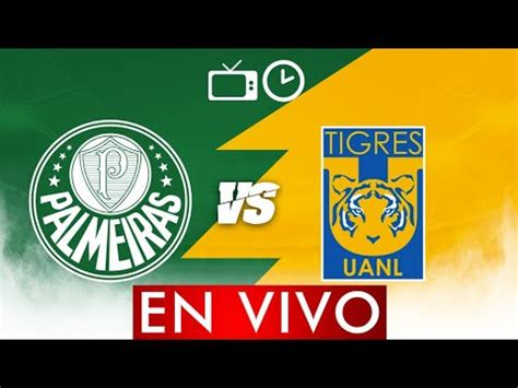 Palmeiras Vs Tigres En Vivo Y En Directo Youtube
