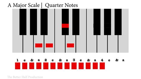 Music Basics Music Note Values Duration And Practice Track Youtube