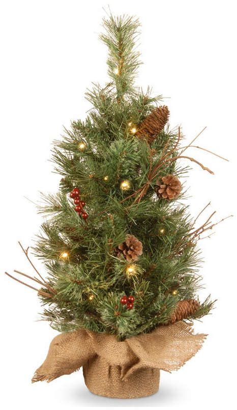 National Tree Company 2 Glisteing Pine Small Tree In Burlap Base With