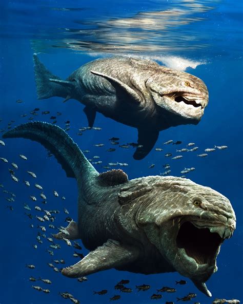 Prehistoric Wildlife Prehistoric World Prehistoric Creatures Sea