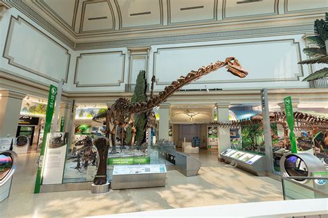 Smithsonian National Museum Of Natural Historys Dinosaur Hall Restored